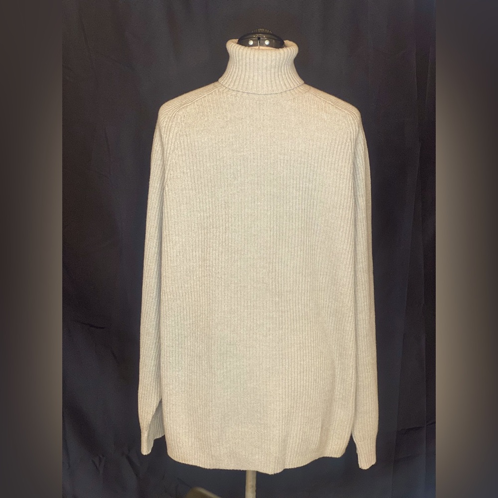Gap Turtleneck Sweater